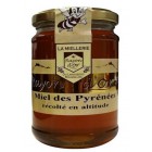 Miel des Pyrénées 350 gr